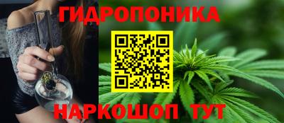 эйфоретик Краснодар