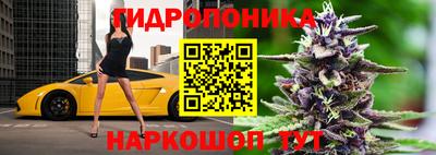 spice Краснознаменск