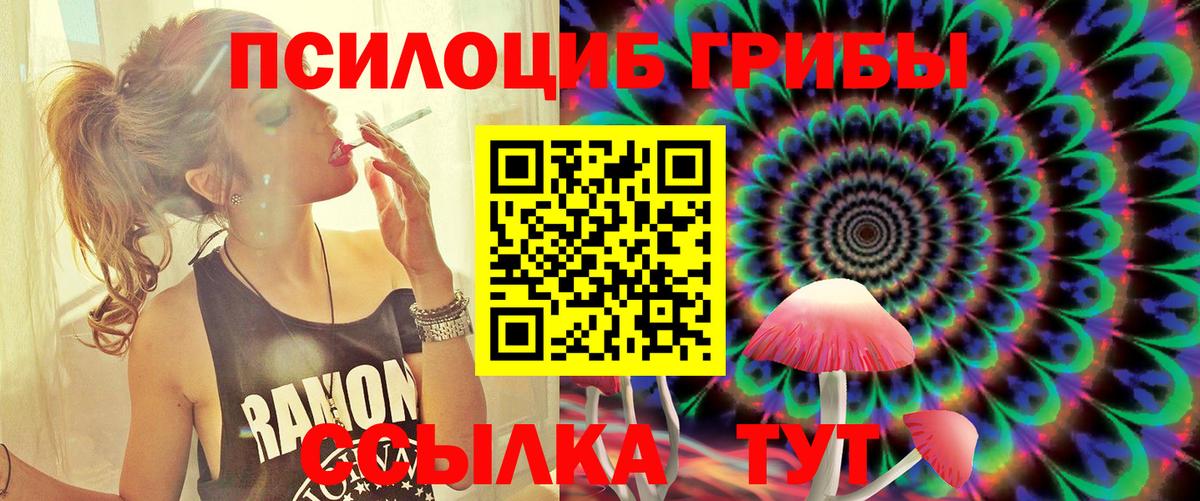 Галлюциногенные грибы мицелий Зеленогорск