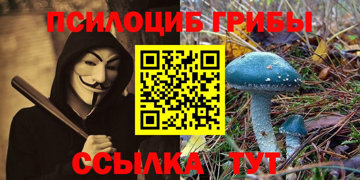 Псилоцибиновые грибы прущие грибы  Вход с VPN  Зеленогорск 